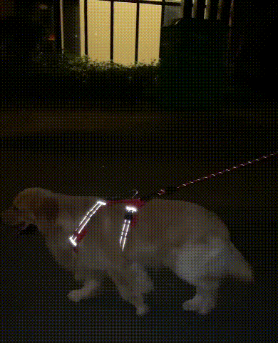 1727959676648500.gif